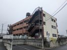 桜川ハイツの間取り画像