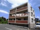 マスカット・Lの外観