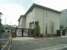 Apionの外観
