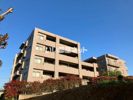 八王子北野ガーデニアの間取り画像