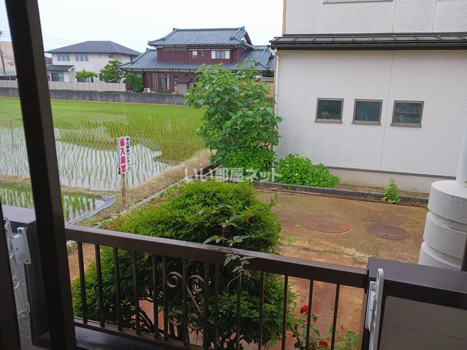 眺望