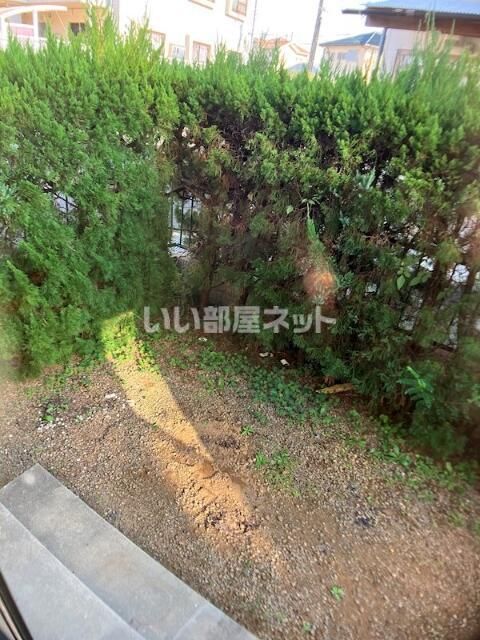 庭