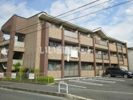 コーラル ガーデンの間取り画像