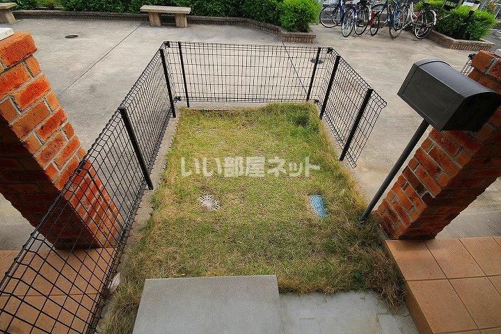 庭