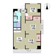 坂口コーポの間取り画像