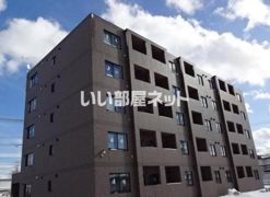 NEW PIAZZA西桔梗の外観画像