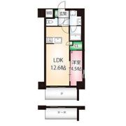 カメリア丸の内の間取り画像