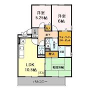 グレイスコートの間取り画像