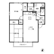 ウィルモア･Yの間取り画像