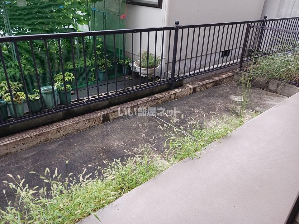 庭