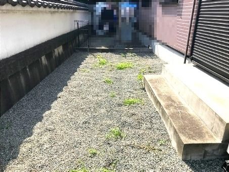 庭