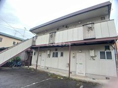 プチトマトの外観画像