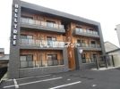 BELL TREE平口の外観