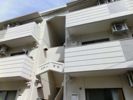 エステート坪井の外観