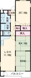新大宮ハイタウンC棟の間取り画像