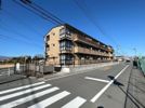 ハーベスト大塚の間取り画像