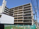 ルミエール箱崎駅前の間取り画像