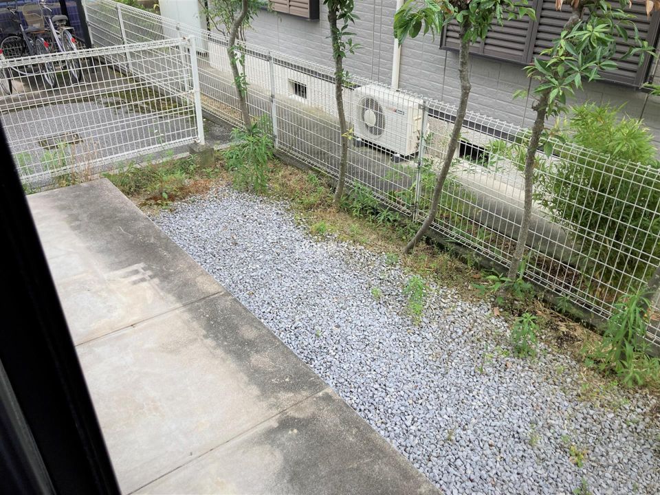 庭