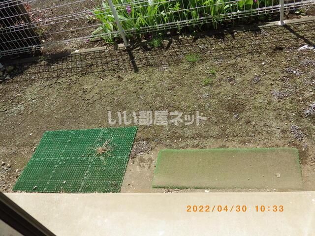 庭