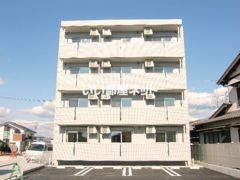 レモンバームの外観画像
