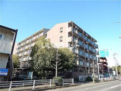 APEX FLAT Rの外観画像