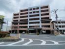 フリーリー守恒の外観