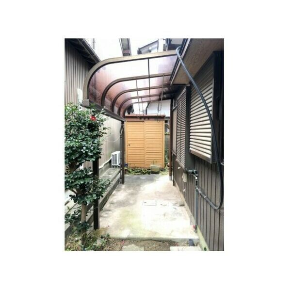 庭