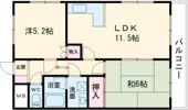 MTハイツの間取り画像