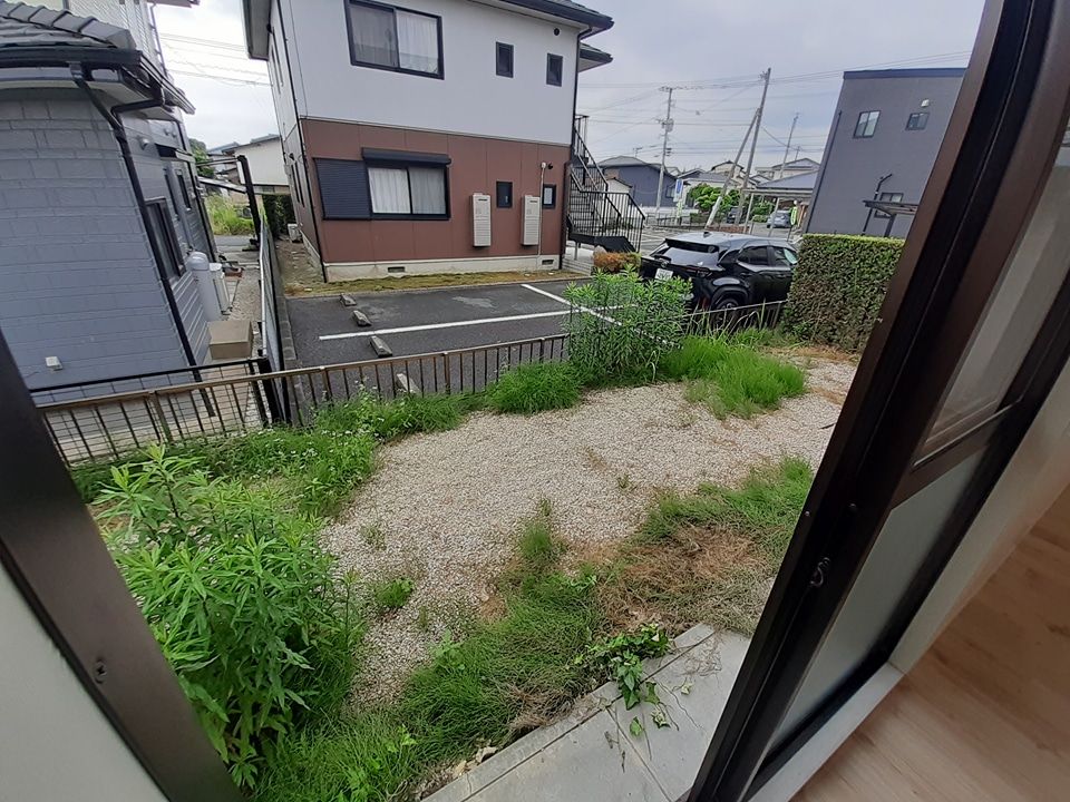 庭