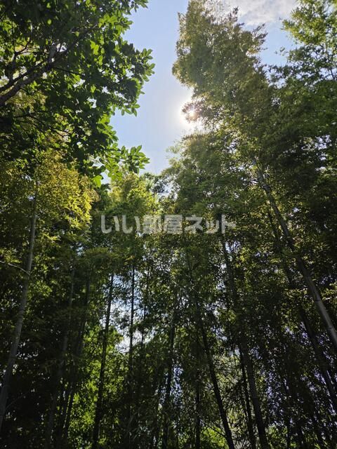 近くに施設あり