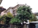 村野武蔵野台の間取り画像