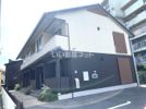 椿の外観