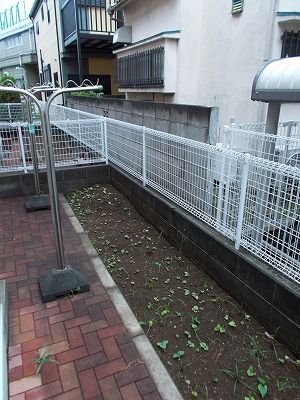 庭