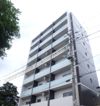ミリアビタNo．33の外観