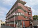 シーダータウンの間取り画像