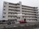 大安ヒルズの外観