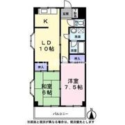 白樺の間取り画像