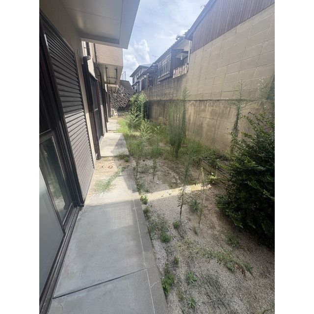庭