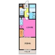 T&Mの間取り画像