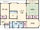 松陰町ハイムの間取り画像