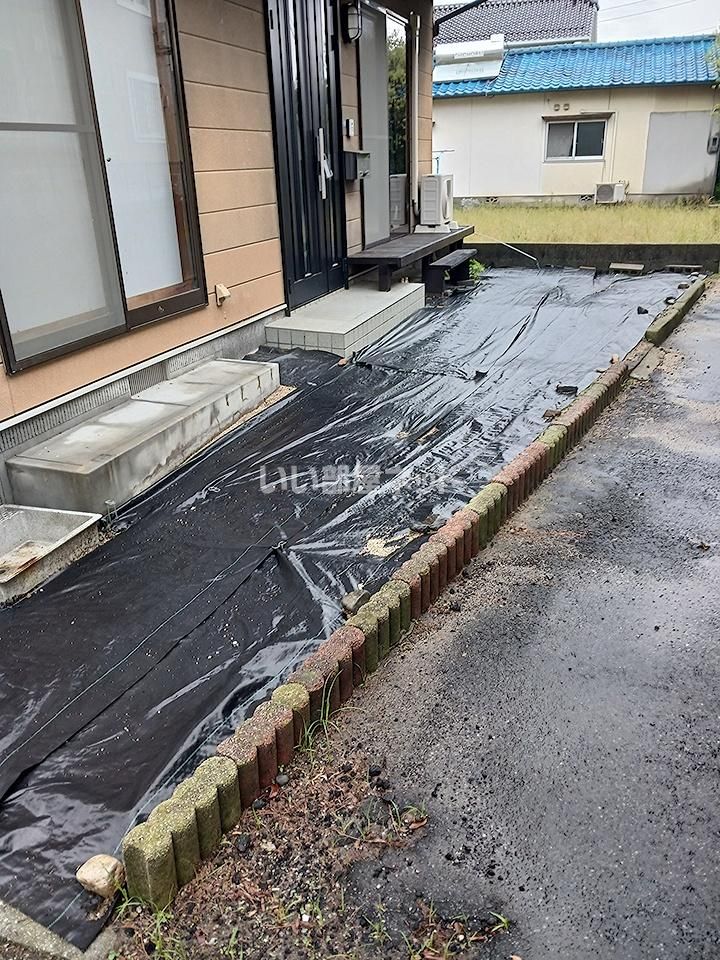 庭