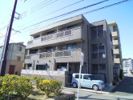 ベレオ新杉田の間取り画像
