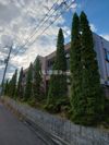 M＆玲の間取り画像