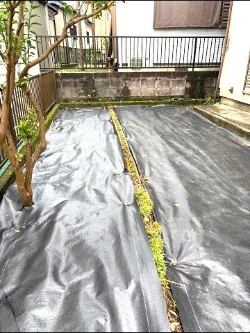 庭