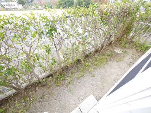 庭