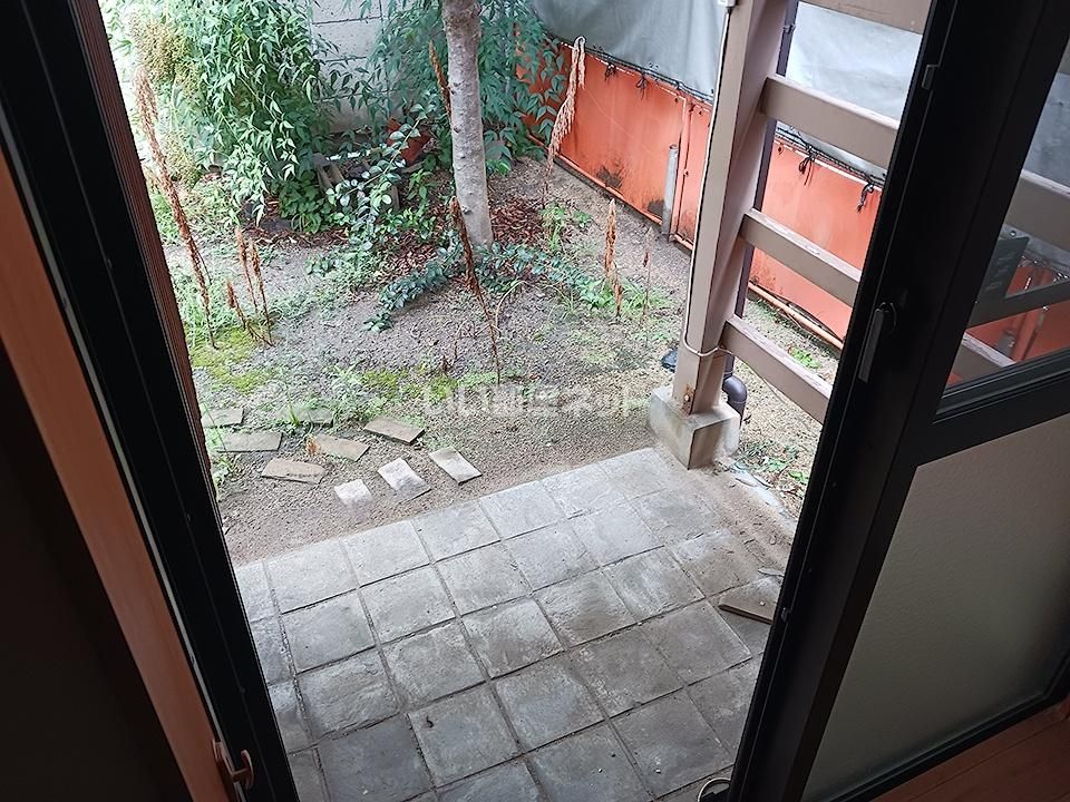 庭