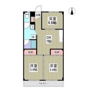 ツカモトハイツの間取り画像