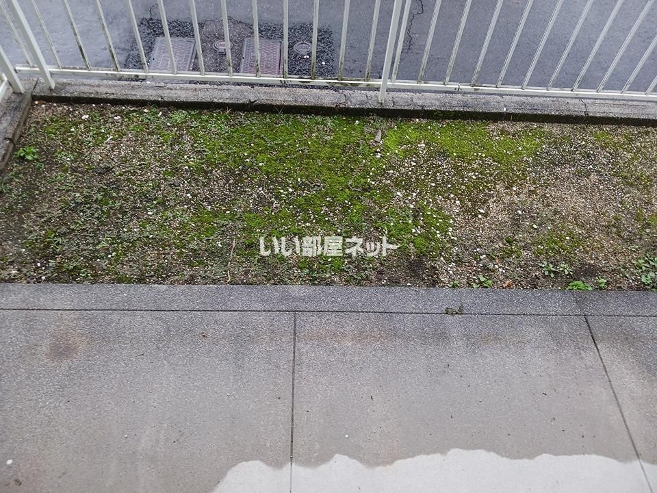 庭