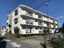 エクセレンス湘南台の外観