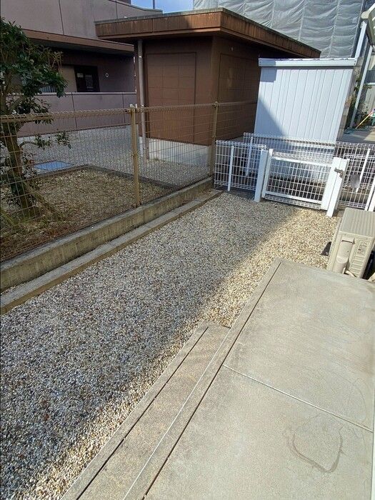 庭